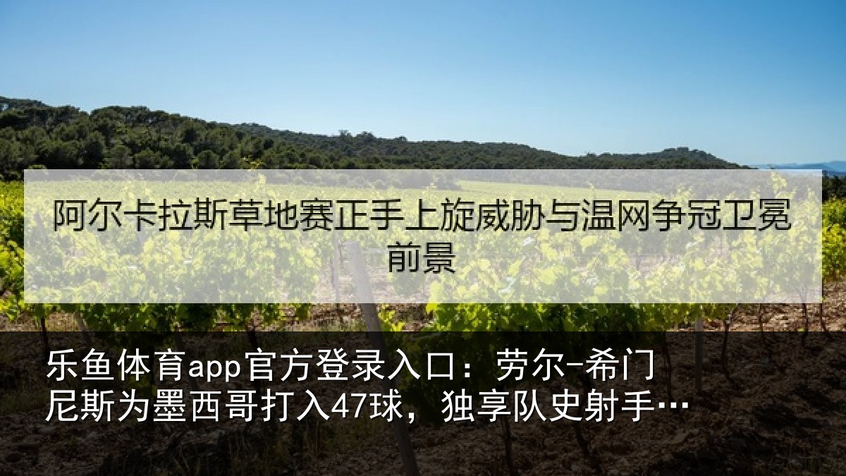 乐鱼体育app官方登录入口：劳尔-希门相关情况47球独相关情况