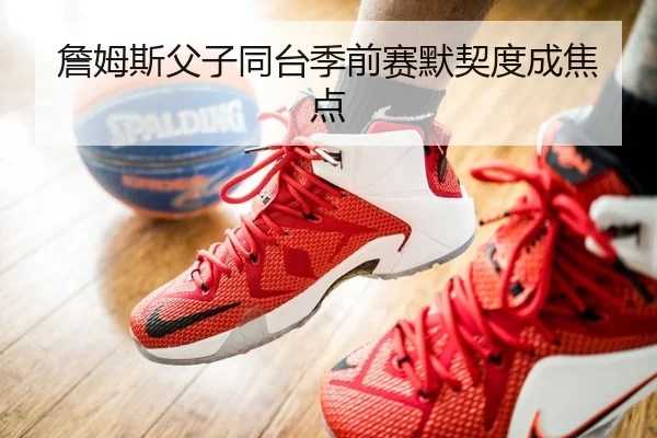 詹姆斯父子同台季前赛默契度成焦点