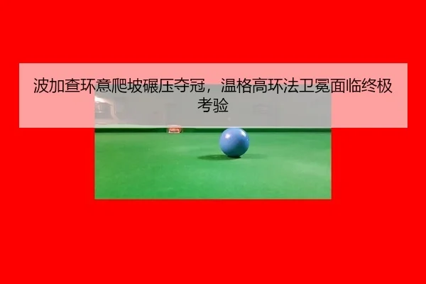 bo-jia-cha-huan-yi-pa-po-nian-ya-duo-guan-wen-ge-gao-huan-fa-wei-mian-mian-lin-zhong-ji-kao-yan-2-630.jpg